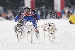 Lenzerheide 2013